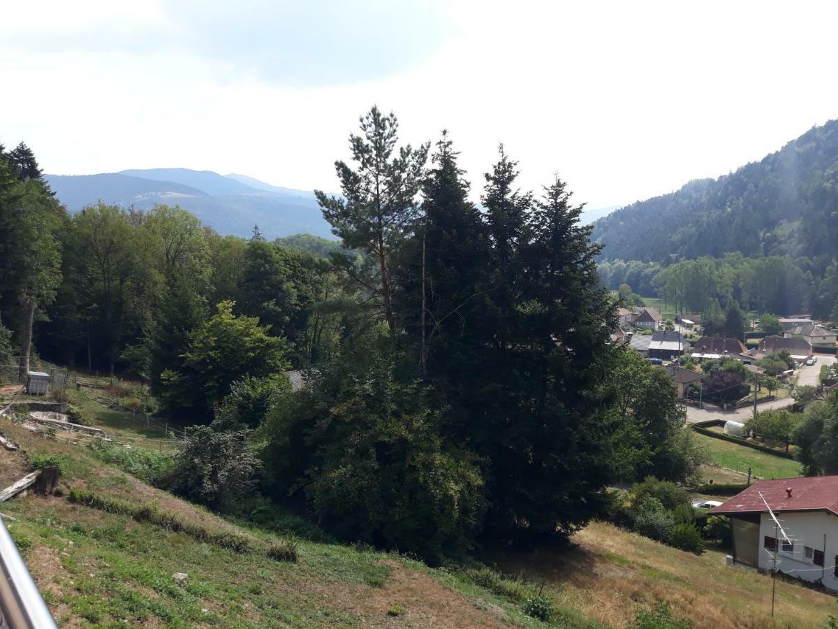 Holiday home La Maison Des Savoyards Husseren-Wesserling